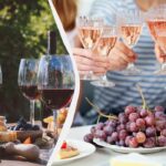 Hvad du skal spise til vin, og hvor meget du